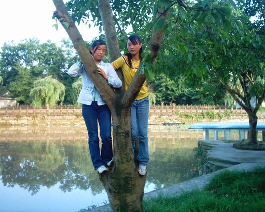 2006  (37)